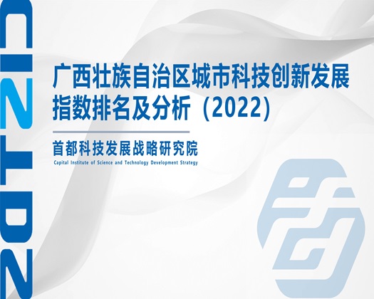 男生的大鸡巴操女生的逼视频【成果发布】广西壮族自治区城市科技创新发展指数排名及分析（2022）